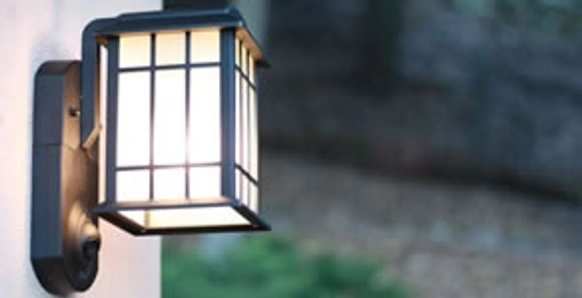 security light installation services with professionally mounted exterior wall light in Richmond, VA